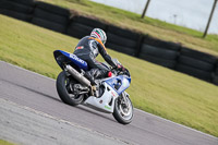 PJ-Motorsport-2019;anglesey-no-limits-trackday;anglesey-photographs;anglesey-trackday-photographs;enduro-digital-images;event-digital-images;eventdigitalimages;no-limits-trackdays;peter-wileman-photography;racing-digital-images;trac-mon;trackday-digital-images;trackday-photos;ty-croes